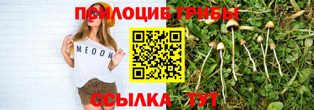 Псилоцибиновые грибы MAGIC MUSHROOMS Королёв