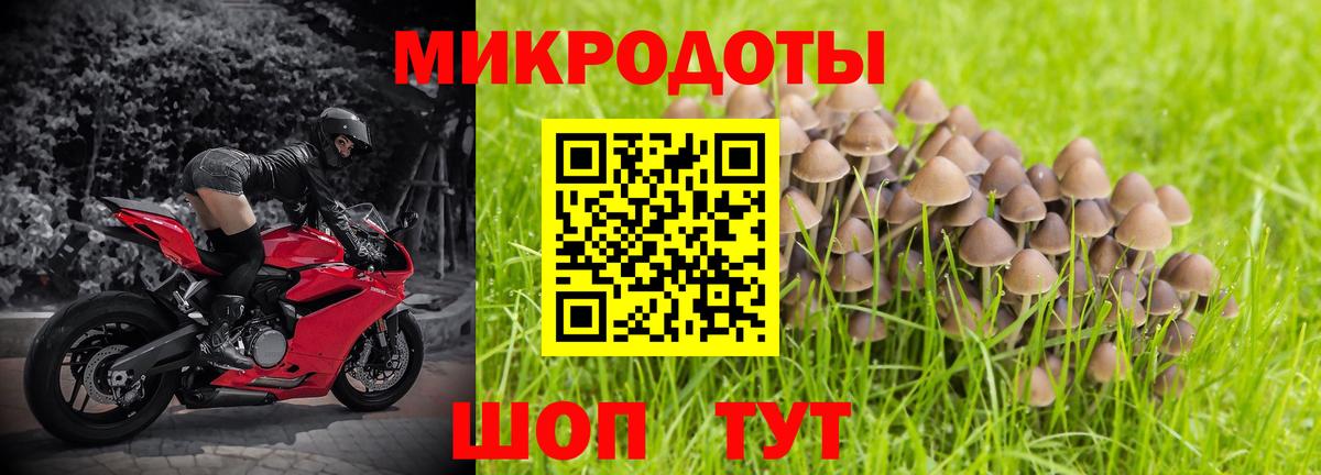 Королёв  Галлюциногенные грибы Cubensis  Вход с VPN 